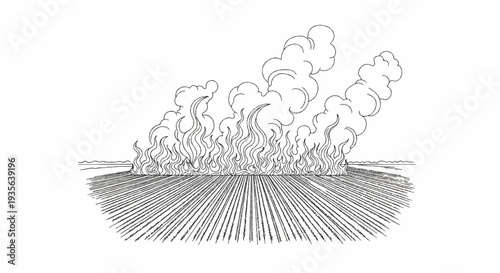 A field of rows burns with flames and smoke rising into the sky