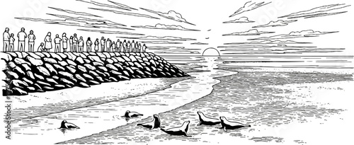 People watch seals at sunset on a stony shore