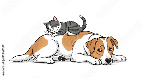 Dog and cat resting together illustration friendly animal pets friendship concept
