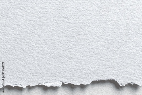 Close-up of textured, torn white paper, showing detailed fibrous surface