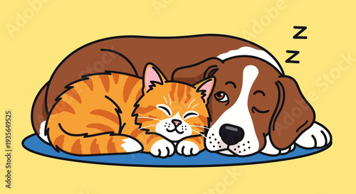 Dog and cat sleeping together on blue mat against yellow background