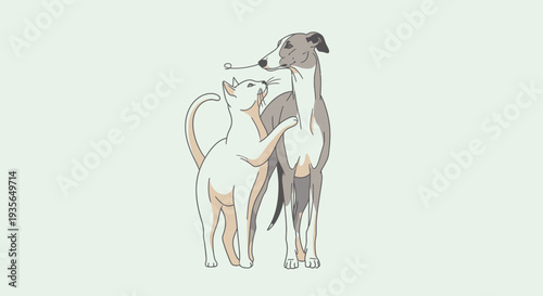 Cat and dog illustration playful friends interacting with graphic style