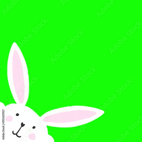 Hand-Drawn Illustration of Sweet Easter Bunny Cartoon Animation Hopping on Screen from Left Corner on Chroma Key Greenscreen Background - 4K Square Seamless Loop Video