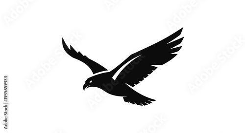 Soaring eagle silhouette in flight against white background vector illustration