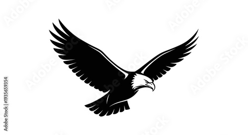 Soaring eagle silhouette in flight against white background