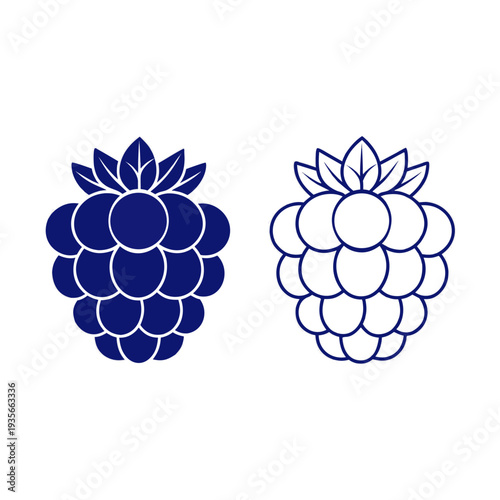 Raspberries Illustrated in Blue