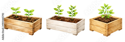 A charming watercolor collection of wooden boxes with plants for gardening design and eco lifestyle branding.