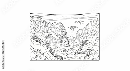 Underwater scene with rocky formations, turtles, fish, and starfish