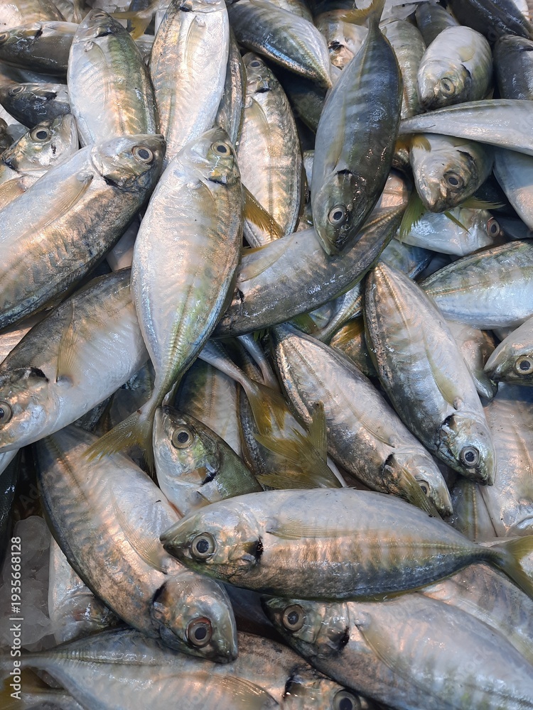 Fototapeta premium fresh fish at the market