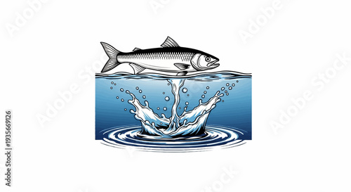 A detailed, black and white fish leaps from a dynamic, splashing blue water surface