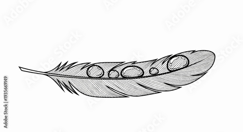 Black and white illustration of a feather with water droplets