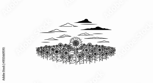 Field of sunflowers under a cloudy sky, hand-drawn illustration
