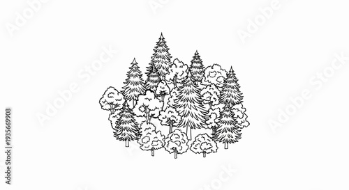 Stylized black and white line drawing of a dense forest with various trees