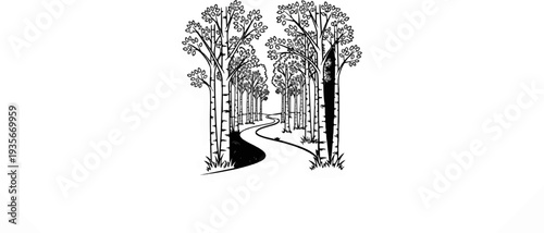 Winding path through a grove of birch trees in sketch style