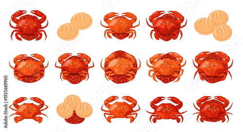 Singapore Chili Crab with Fried Mantou Buns Illustration Set on White Background