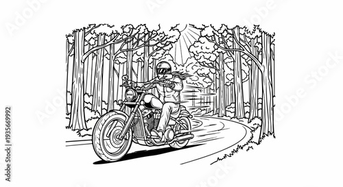 Rider speeds along a winding forest road under dappled sunlight