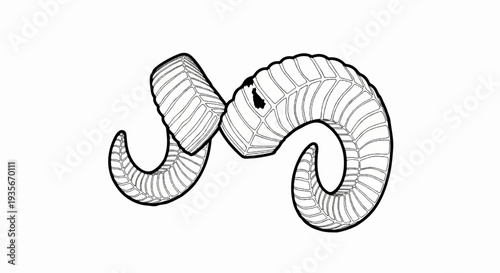 Stylized sketch of ram horns with segmented texture on white background