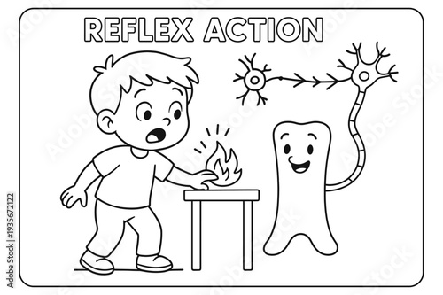 Reflex Action Coloring Page. Reflex action children?s coloring book illustration, outlined drawing, a cartoon kid touching something warm while a neuron signal