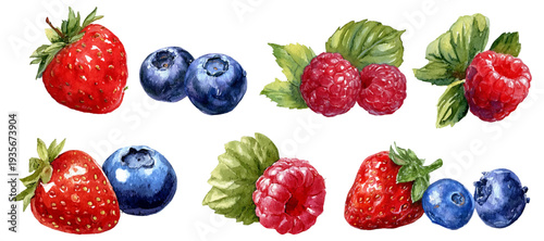 Watercolor hand painted collection with fresh organic strawberries, raspberries, and blueberries featuring vibrant red and blue fruits with green leaves creating a healthy dessert ingredient