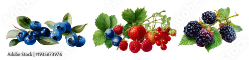 Forest berries mix featuring watercolor style blueberries, raspberries, strawberries, blackberries and red currants with green leaves on white background, colorful and fresh