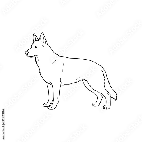 German Shepherd dog breed illustration vector
Vector illustration icon on a white background