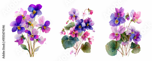 Three watercolor bouquets displaying violet flowers and pansies with green leaves, creating a botanical collection for spring and summer floral designs or decorative elements