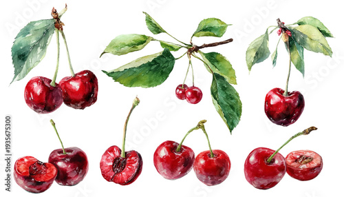 Ripe watercolor cherries creating a vibrant pattern, featuring whole fruits, halves, and clusters with green leaves and stems, ideal for spring and summer designs