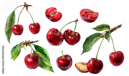 Abundant sweet red cherries with green leaves and stems, hand painting on a white background, forming a fresh fruit botanical collection for healthy eating and natural flavor concepts