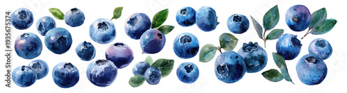 Blueberries with green leaves form a vibrant watercolor painting on a white background, representing healthy food, natural sweetness, and fresh fruit for a wholesome diet