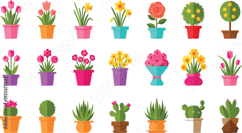 Colorful Potted Flowers and Cactus Plants Collection with Tulip Rose Daffodil Succulent and Decorative Houseplants Flat Vector Botanical Illustration for Garden Design.