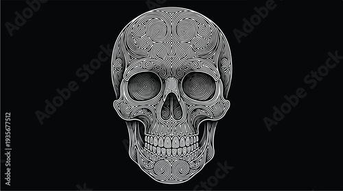 Detailed Human Skull Illustration on Black Background.