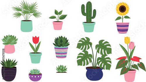Colorful Potted Houseplants and Flowers Collection with Monstera Cactus Succulent Tulip and Sunflower Indoor Plants Flat Vector Botanical Illustration.