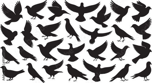 High-quality diverse bird silhouettes featuring wide wingspans and perched poses. Ideal for cinematic backgrounds and environmental graphics, available in professional EPS and PSD formats.