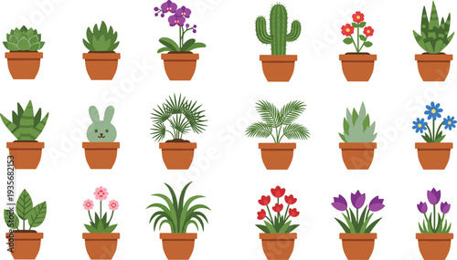 Cute Potted Houseplants and Flowers Collection with Cactus Succulent Orchid Tulip and Decorative Indoor Plants Flat Vector Botanical Illustration.
