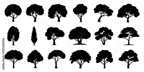 A collection of diverse tree silhouettes against a white background Vector