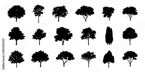 A diverse collection of black and white tree silhouettes showcasing various shapes and sizes Vector