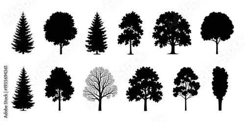 A diverse collection of various tree silhouettes in black and white Vector