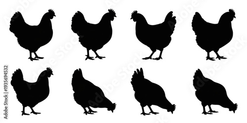 Eight black silhouettes of chickens in various poses and orientations. Vector