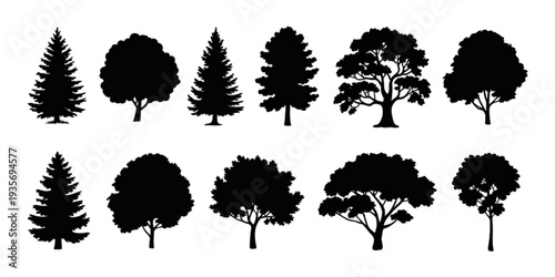 A collection of various trees in black and white silhouette style Vector