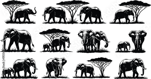 Collection of African elephant silhouettes with acacia trees in savanna landscape wildlife safari animal illustration set for nature design clipart conservation themes