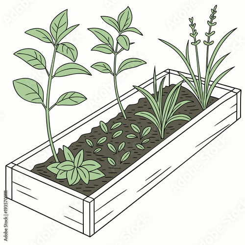 Organic Herb Garden Illustration