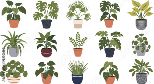 Indoor Tropical Houseplants Collection with Monstera Palm Pilea and Decorative Green Foliage Plants in Modern Pots Flat Vector Botanical Illustration.