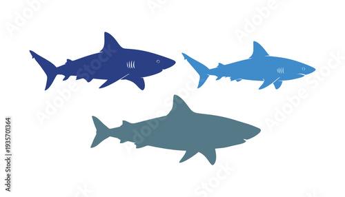 Eye-catching shark vector graphic with multiple colors.