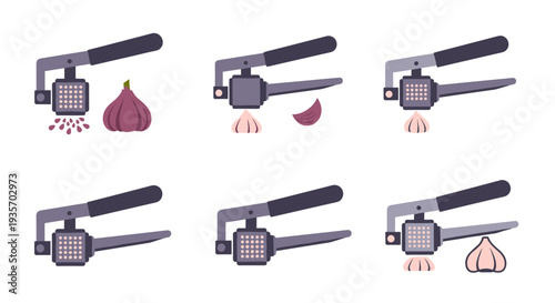 The sequence of a garlic press squeezing out garlic cloves on transparent background