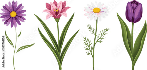 Colorful flowers with green leaves on white background purple flower pink flower