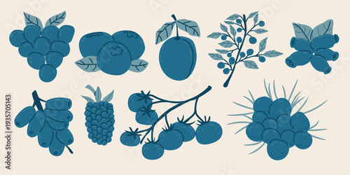 Hand-Drawn Blue Berries Vector Set, Collection of Blueberry, Grape, Plum, and Wild Berries Illustrations for Organic Food Design.