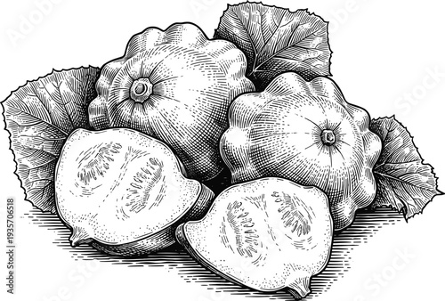 Pattypan squash with green leaves, whole and sliced in engraving style