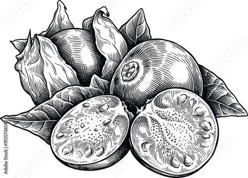 Fresh physalis fruit, also known as groundcherry, whole and sliced