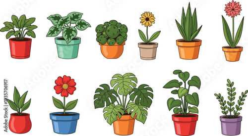 Colorful Potted Houseplants and Flowers Collection with Decorative Indoor Plants Cactus Monstera and Succulent Flat Vector Botanical Illustration for Home Garden Design.