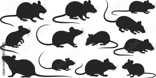 Silhouettes of rats and mice vector illustration, rodent collection in various poses, animal design elements, wildlife concept, morphology study, identification graphics